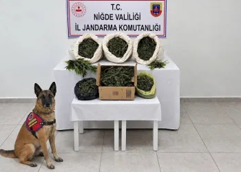 Başkan Vekili Gültekin’in vefat ettiği kazanın detayları ortaya çıktı