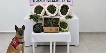 Başkan Vekili Gültekin’in vefat ettiği kazanın detayları ortaya çıktı