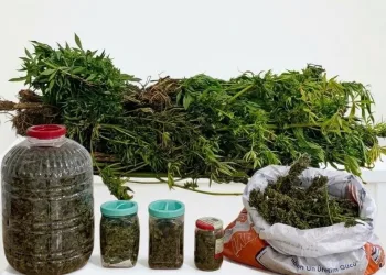 Atakum’da 60 kilo kıyılmış kaçak tütün ele geçirildi