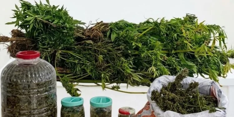 Atakum’da 60 kilo kıyılmış kaçak tütün ele geçirildi