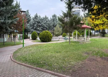 Ankara’daki akran cinayetinin kan davası nedeniyle işlendiği iddiası