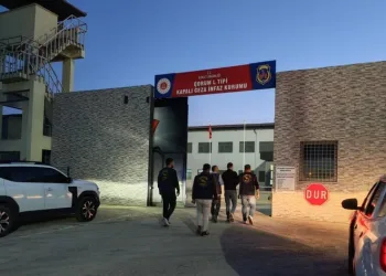“Change” operasyonunda ele geçirilen milyonluk 61 klasik otomobil sergilendi