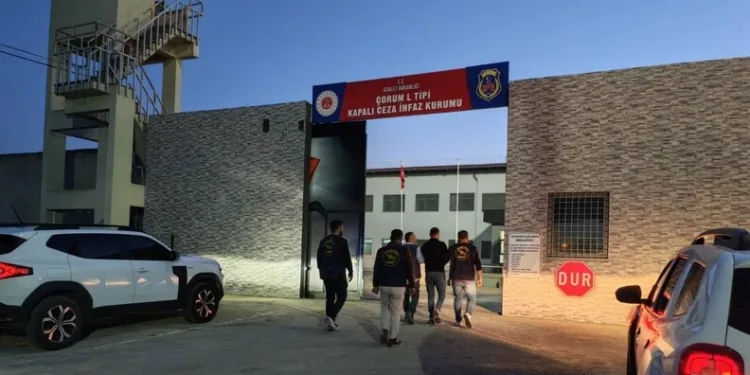 “Change” operasyonunda ele geçirilen milyonluk 61 klasik otomobil sergilendi