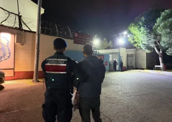 “Change” operasyonunda ele geçirilen milyonluk 61 klasik otomobil sergilendi