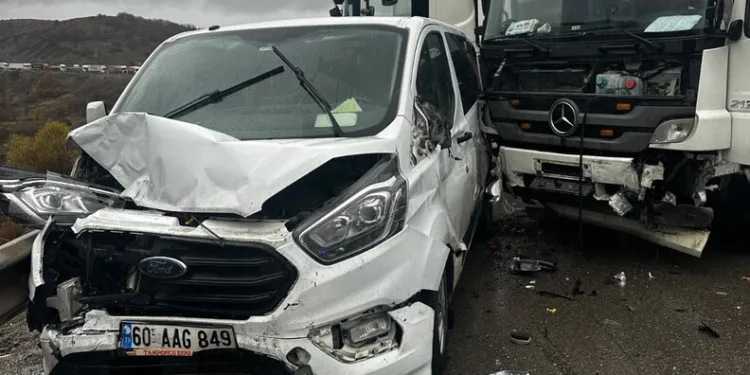 “Change” operasyonunda ele geçirilen milyonluk 61 klasik otomobil sergilendi