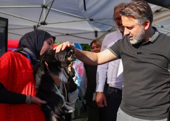 Büyükşehir’den can dostları için yuva seferberliği