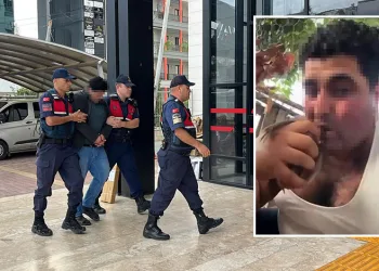 Alanya’da kuşlara vahşet uygulayan şüpheli tutuklandı