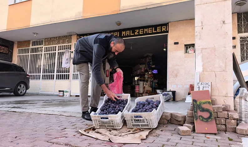 Bursalı çiftçi erikleri dalında bırakmadı, çöpe atmadı fenomen oldu