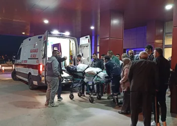 Ağabeyini tüfekle vurdu