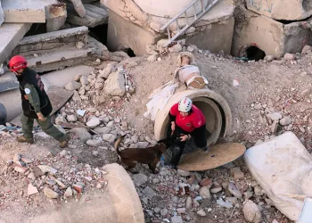 İnegöl’de K9’lara hayat kurtaran eğitim