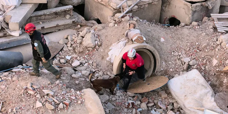 İnegöl’de K9’lara hayat kurtaran eğitim