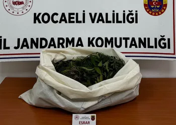 Kocaeli’de jandarmadan 4 ilçede uyuşturucu operasyonu