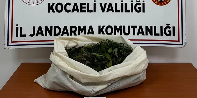 Kocaeli’de jandarmadan 4 ilçede uyuşturucu operasyonu