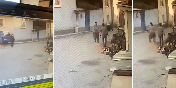Kadının motorlu testere ile yaşlı adamı korkuttuğu anlar kamerada