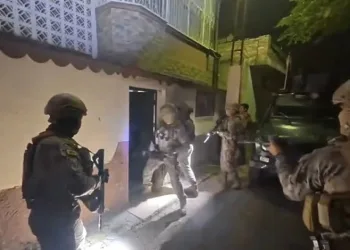 Adana merkezli 11 ilde silahlı suç örgütüne operasyon