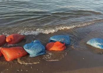 Yasa dışı kum şırlanı avcılığına geçit yok