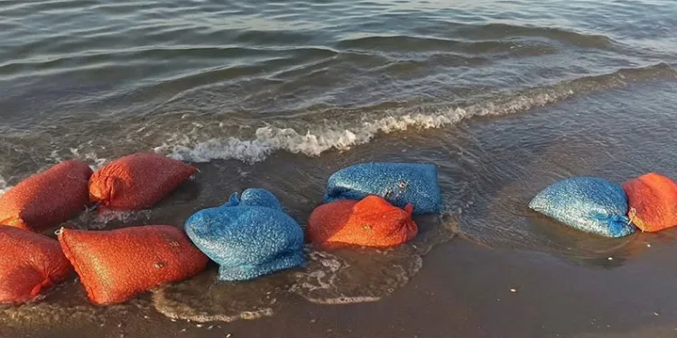 Yasa dışı kum şırlanı avcılığına geçit yok