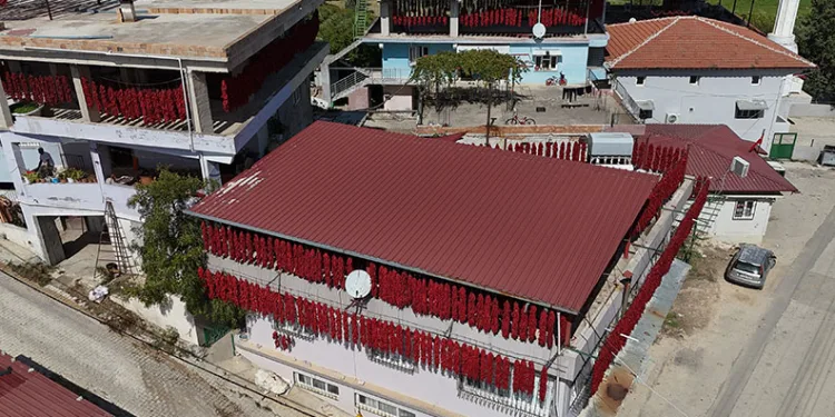 Kurutmalık biberler mahalleyi kırmızıya bürüdü