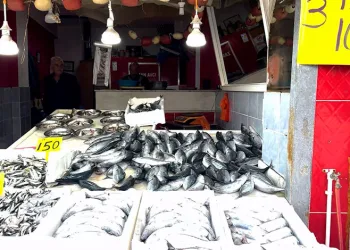Rize’de palamutun 3 tanesi 100 TL’den satılıyor