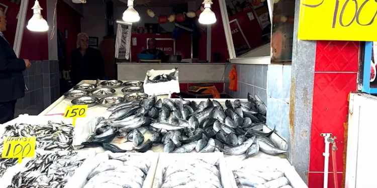 Rize’de palamutun 3 tanesi 100 TL’den satılıyor