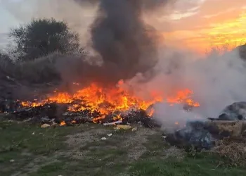 Bursa’da boş arazide çıkan yangın büyümeden söndürüldü