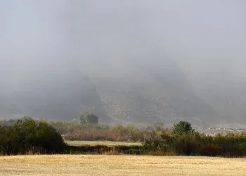 Şırnak’ta sis etkili oldu