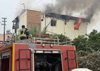 Antalya’da evde kedileri ile yaşayan hayvansever kadın hayatını kaybetti