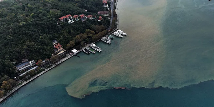 İstanbul’da yağmurun etkisiyle denizin rengi değişti