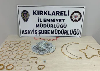6 milyon liralık dolandırıcılık operasyonunda 1 gözaltı