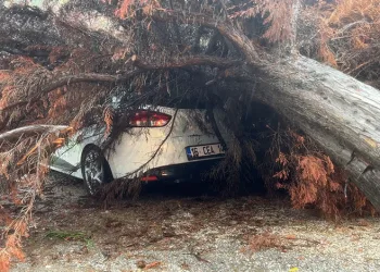 Bursa’da sağanak yağış ağacı devirdi, otomobilin üzerine düştü