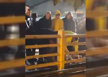 Yalova’da yağmurun durması için kurban kestiler