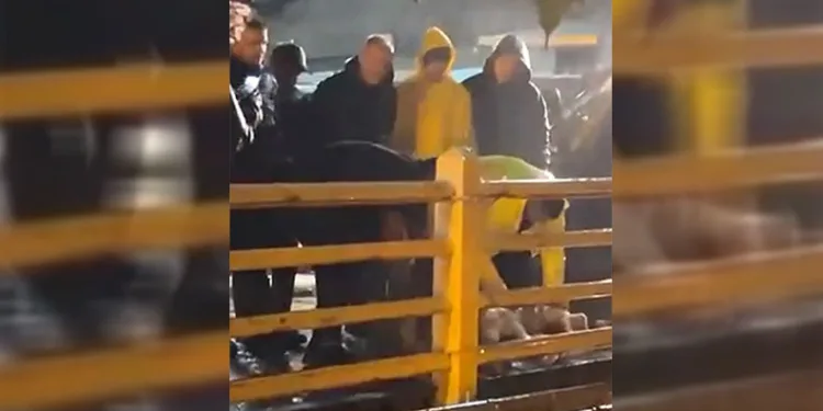 Yalova’da yağmurun durması için kurban kestiler