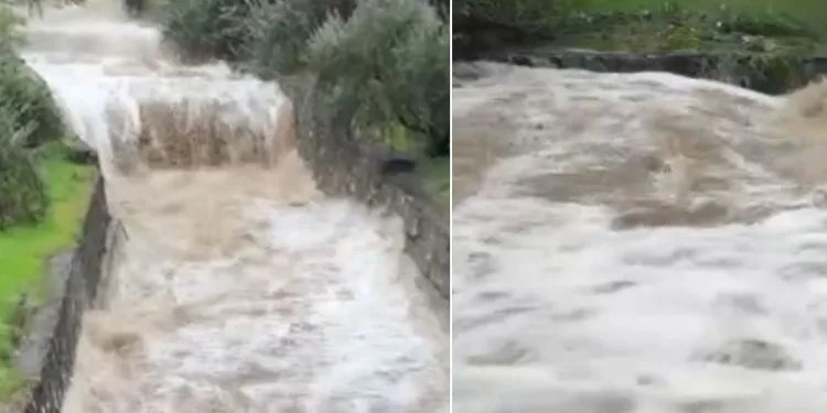 Uludağ’dan akan dereler coştu
