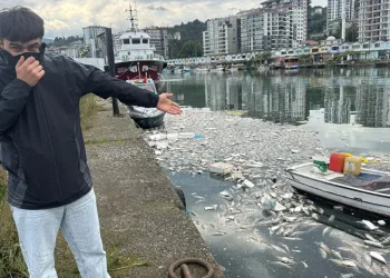 Palamut bolluğu çileye dönüştü