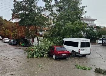 Kastamonu’da fırtına çatıları uçurdu, ağaçları devirdi