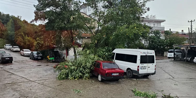 Kastamonu’da fırtına çatıları uçurdu, ağaçları devirdi
