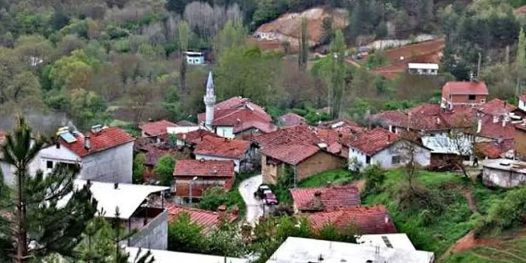 Seferiışıklar köyünün tarihi evleri fotoğraflarla tanıtıldı