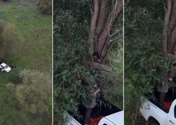 İznik Gölü’nde kaçak avcılık denetimi