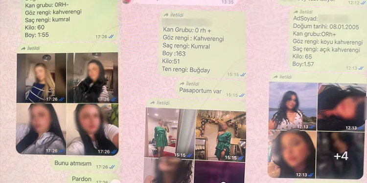 Yasa dışı yumurta ticareti soruşturması: Donör kataloğu ortaya çıktı