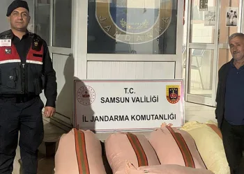Çarşamba’da fındık dolandırıcılığı: 2 gözaltı