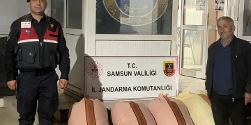 Çarşamba’da fındık dolandırıcılığı: 2 gözaltı