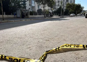Emekli astsubay kardeşlerin kavgası kanlı bitti