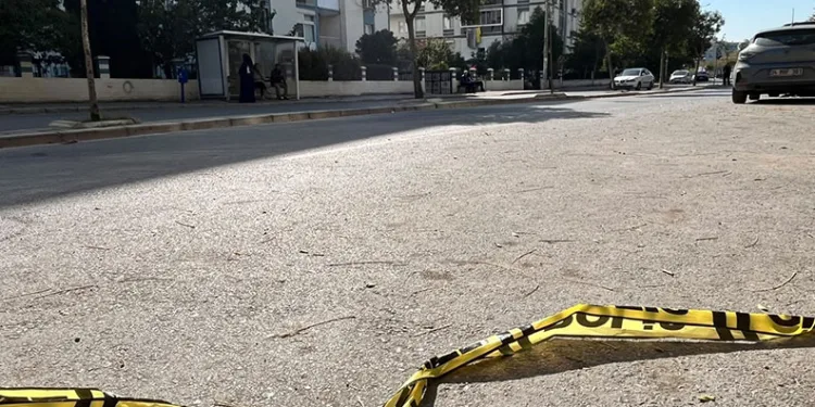 Emekli astsubay kardeşlerin kavgası kanlı bitti