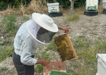 50 yıllık arıcı emekli başgardiyan 20 yıldır Avrupa’ya bal gönderiyor