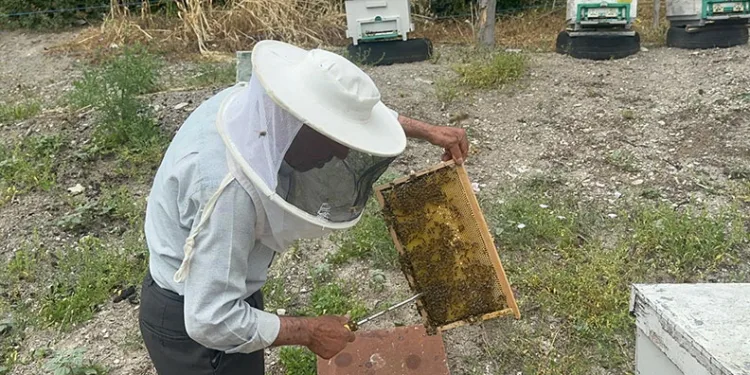50 yıllık arıcı emekli başgardiyan 20 yıldır Avrupa’ya bal gönderiyor