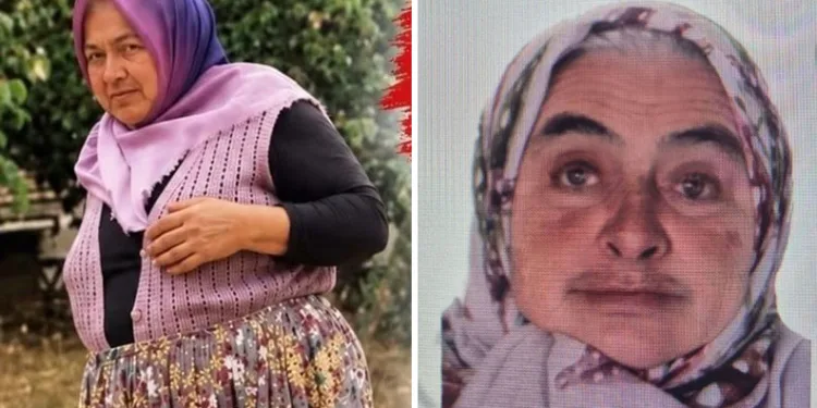 Bursa’da ormanda tüm ekipler onu arıyor
