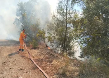 Bursa’da orman yangını