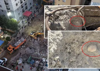 Maltepe’de çöken binanın beton örneklerinde deniz kabuğu görüldü